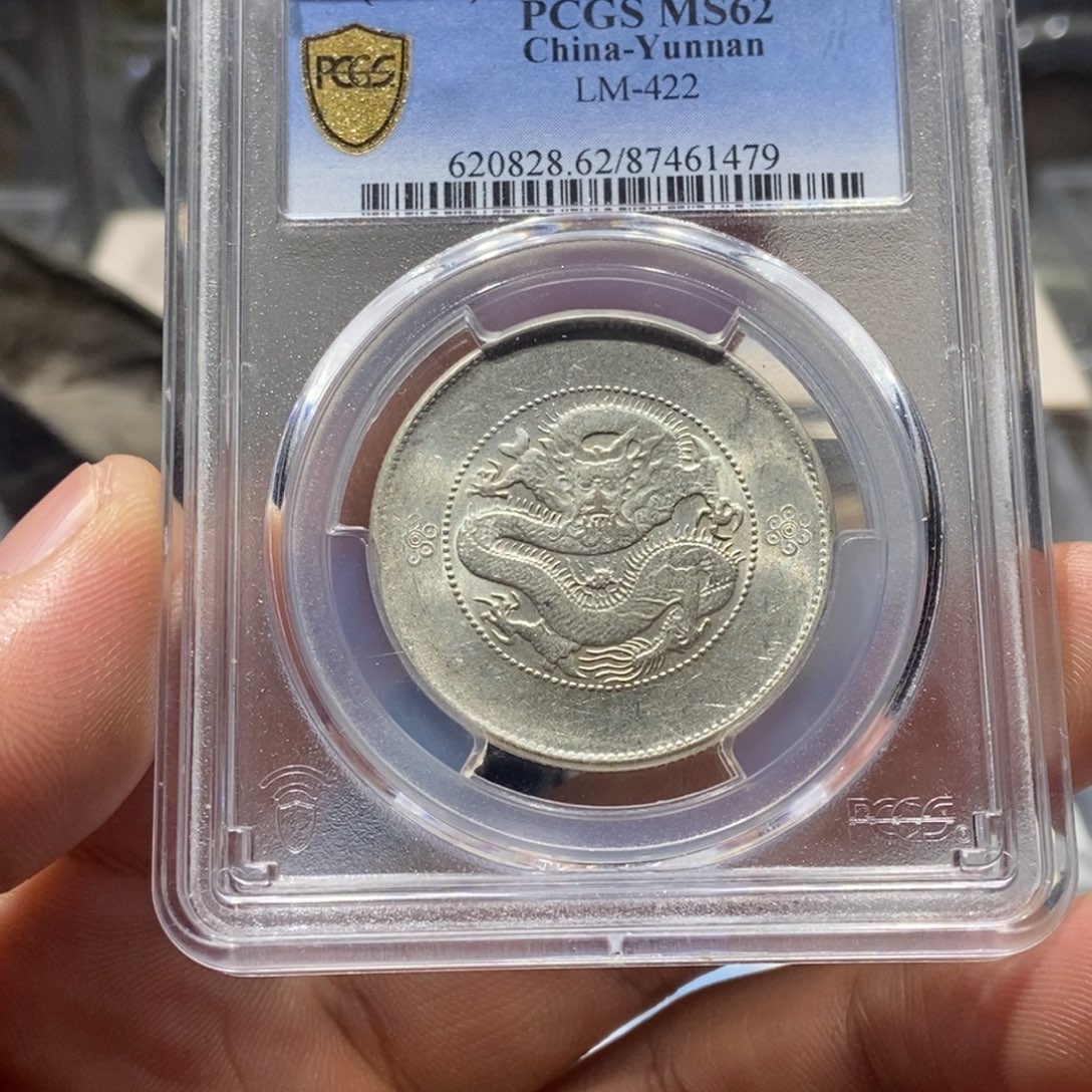 银国福61479云南半圆龙原光