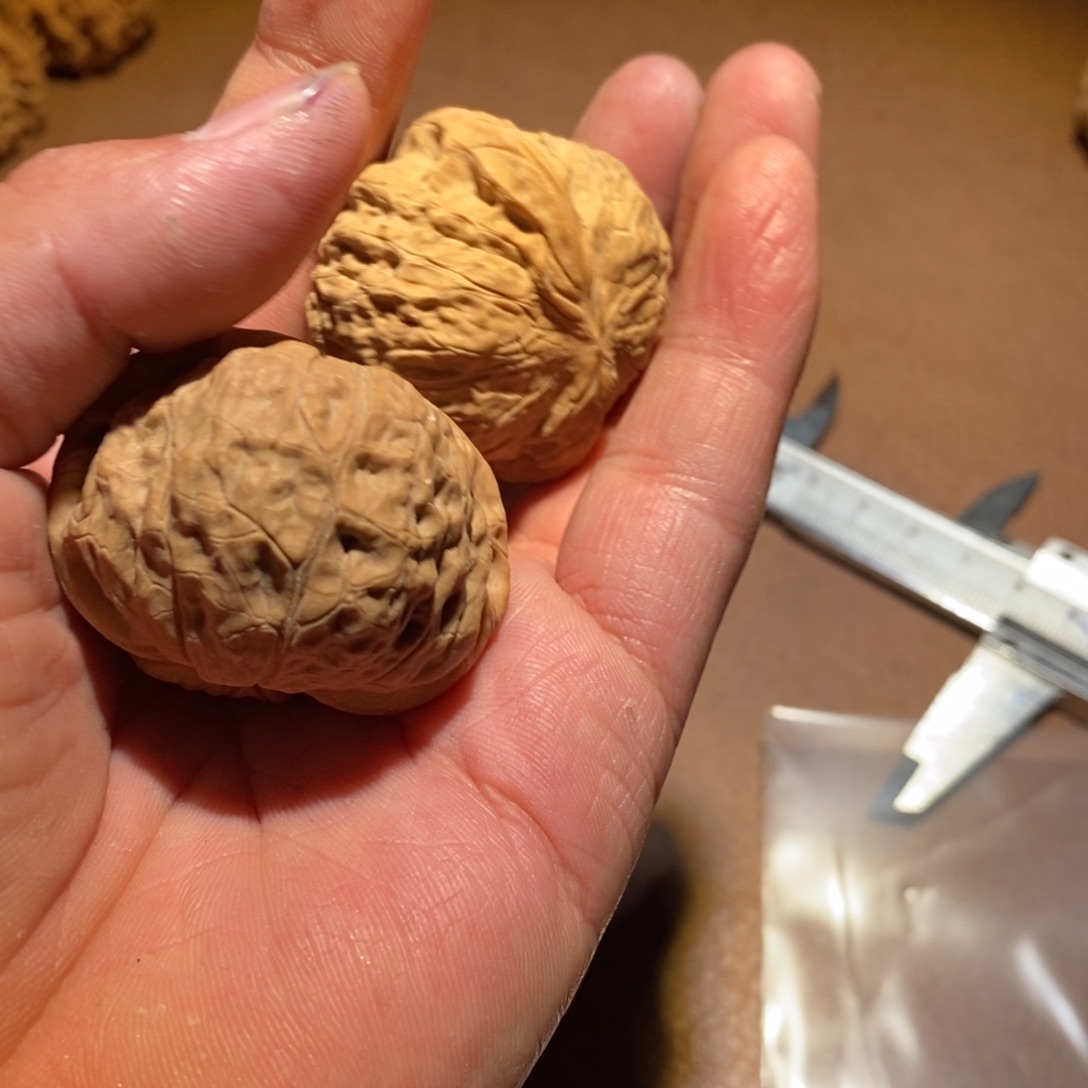 6****核桃手串/手链009