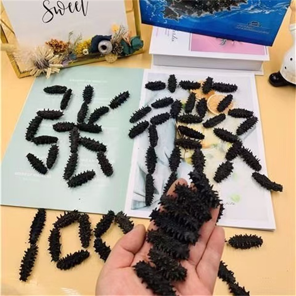 俄罗斯海参100头 6排刺海参 淡干原货 适合自己家吃的头数 
