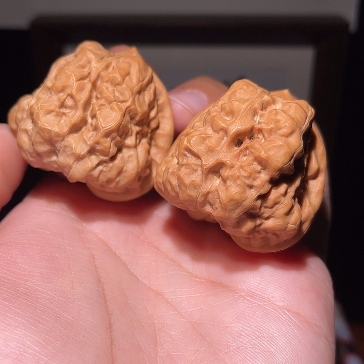 核桃手串/手链40×42箭毒蛙  