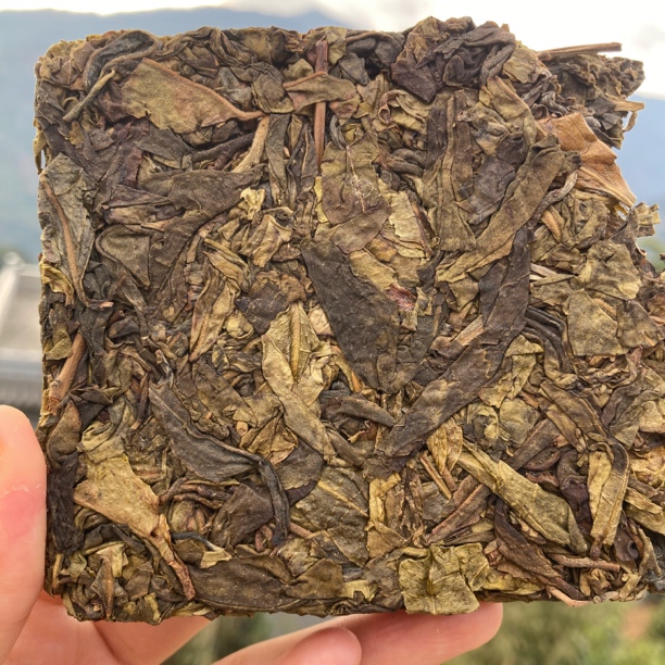 【绿水塘黄金叶】2023年春茶200克砖茶