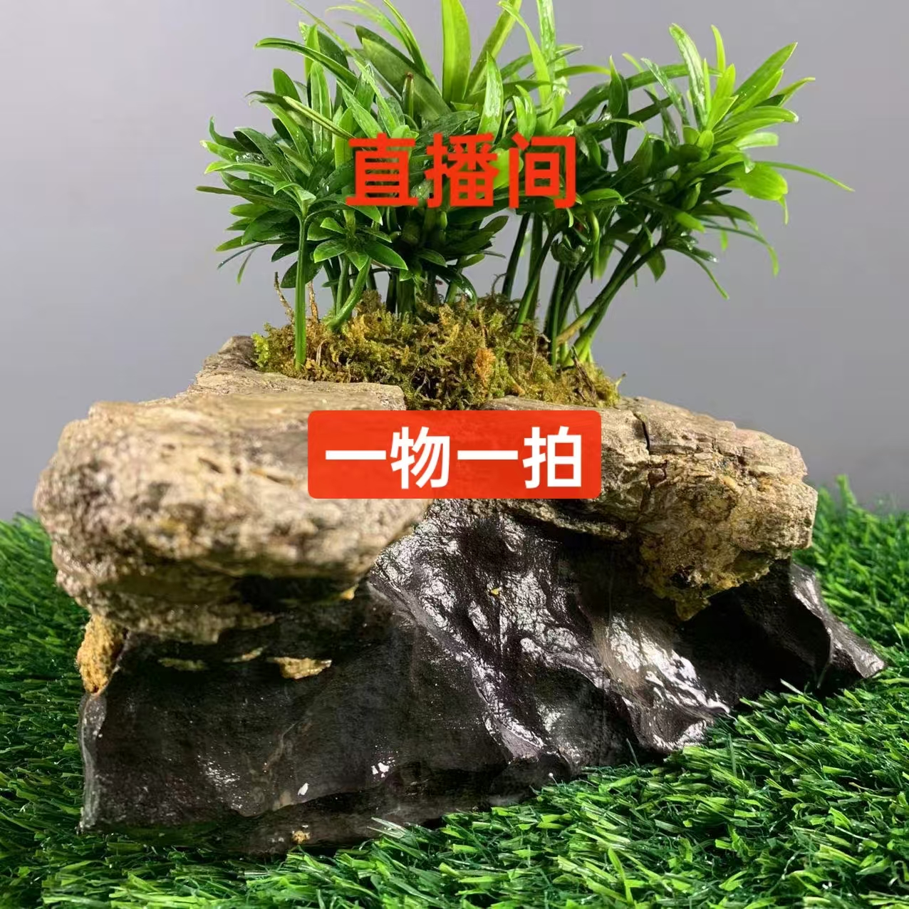 灵璧石 原石 花盆 烟灰缸 掌中宝