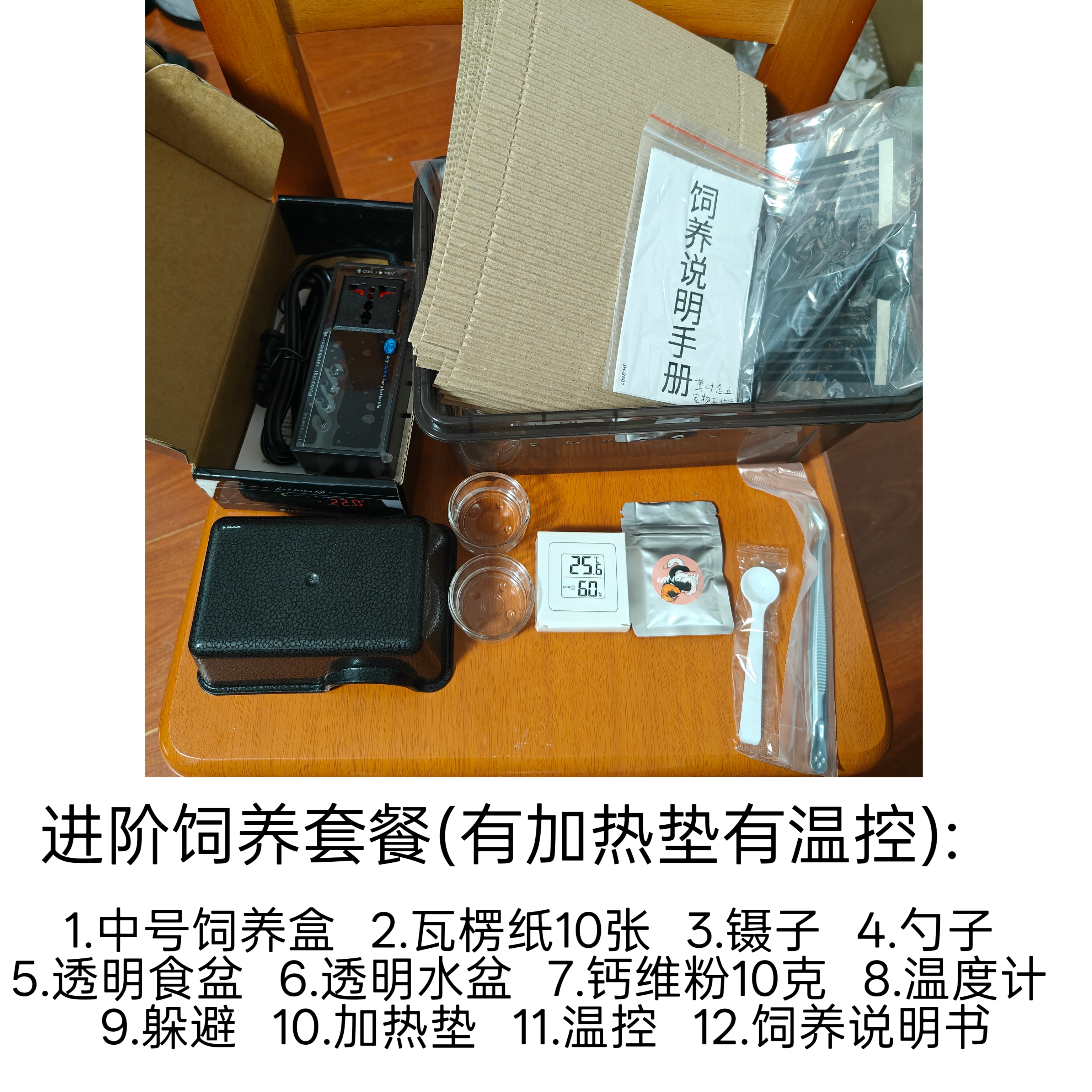 豹纹守宫饲养套餐新手基础入门进阶套餐