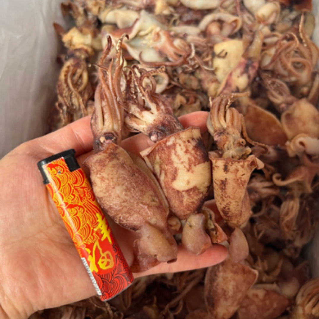 熟晒鱿鱼仔小海兔开片海味干货脆口无沙海鲜水产