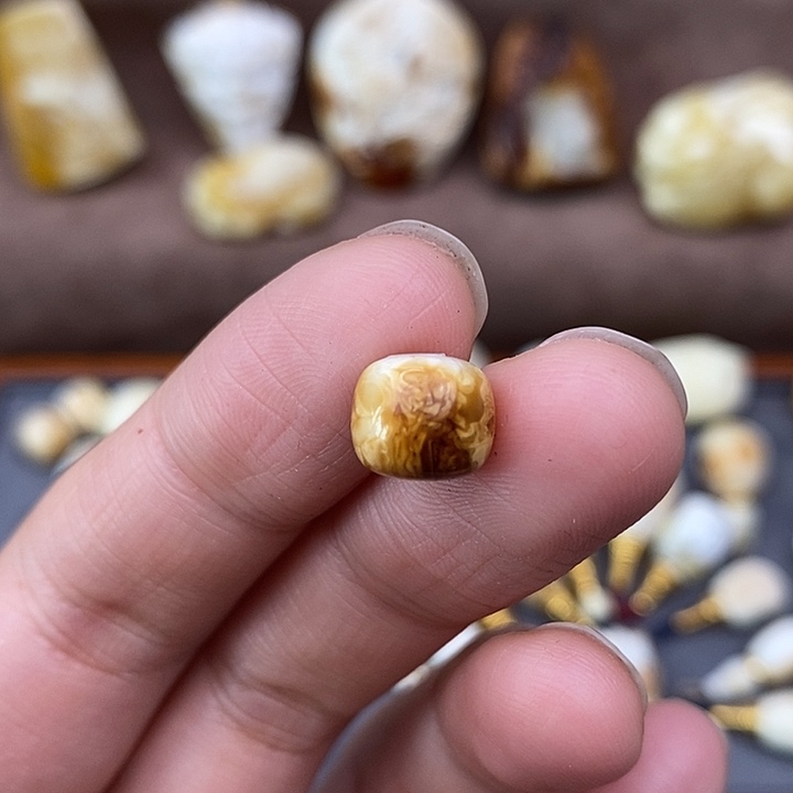 琥珀裸石未镶嵌9老邢a1