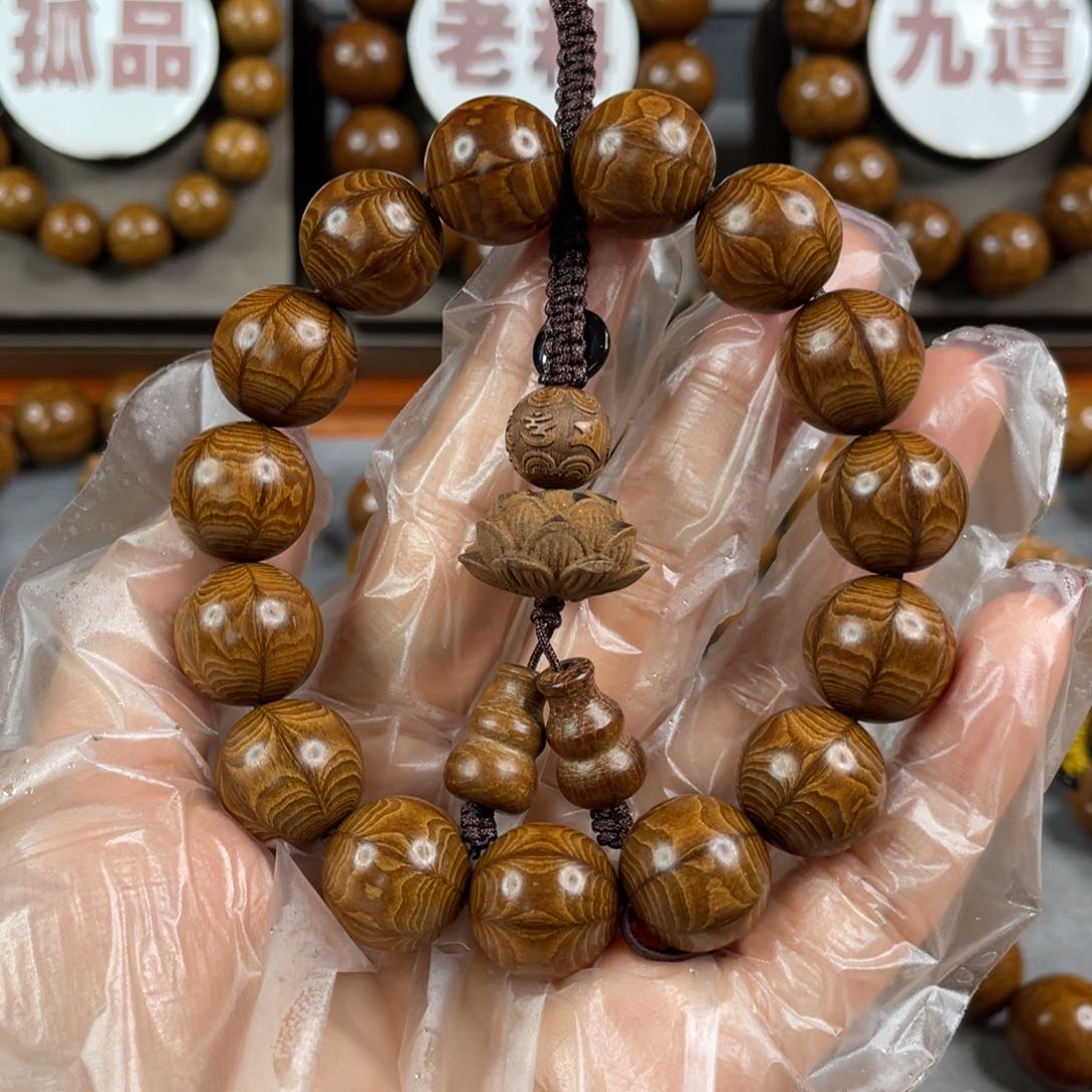 六道木枯树， 毕业1.5