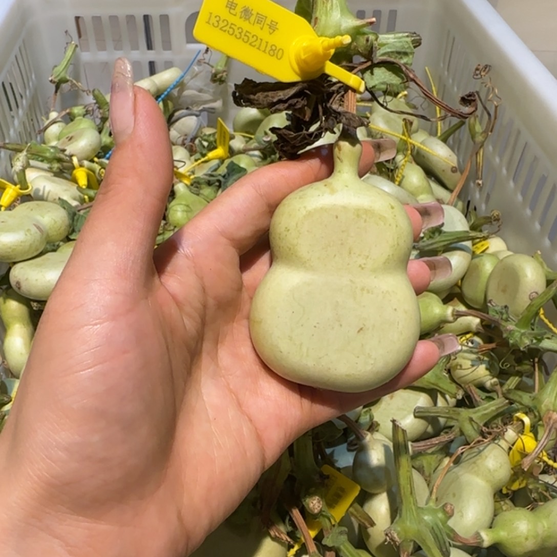 银***泉哈哈哈哈哈哈哈哈哈哈哈哈哈