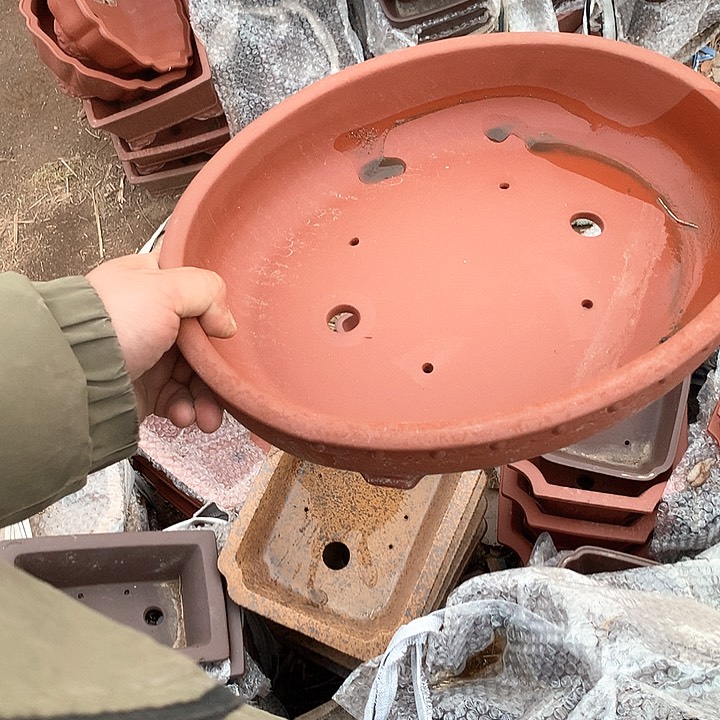 紫砂淘宝优惠券起单号