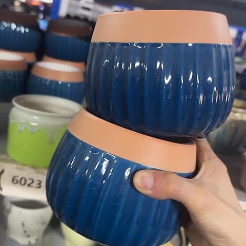 ···2个处理······6023