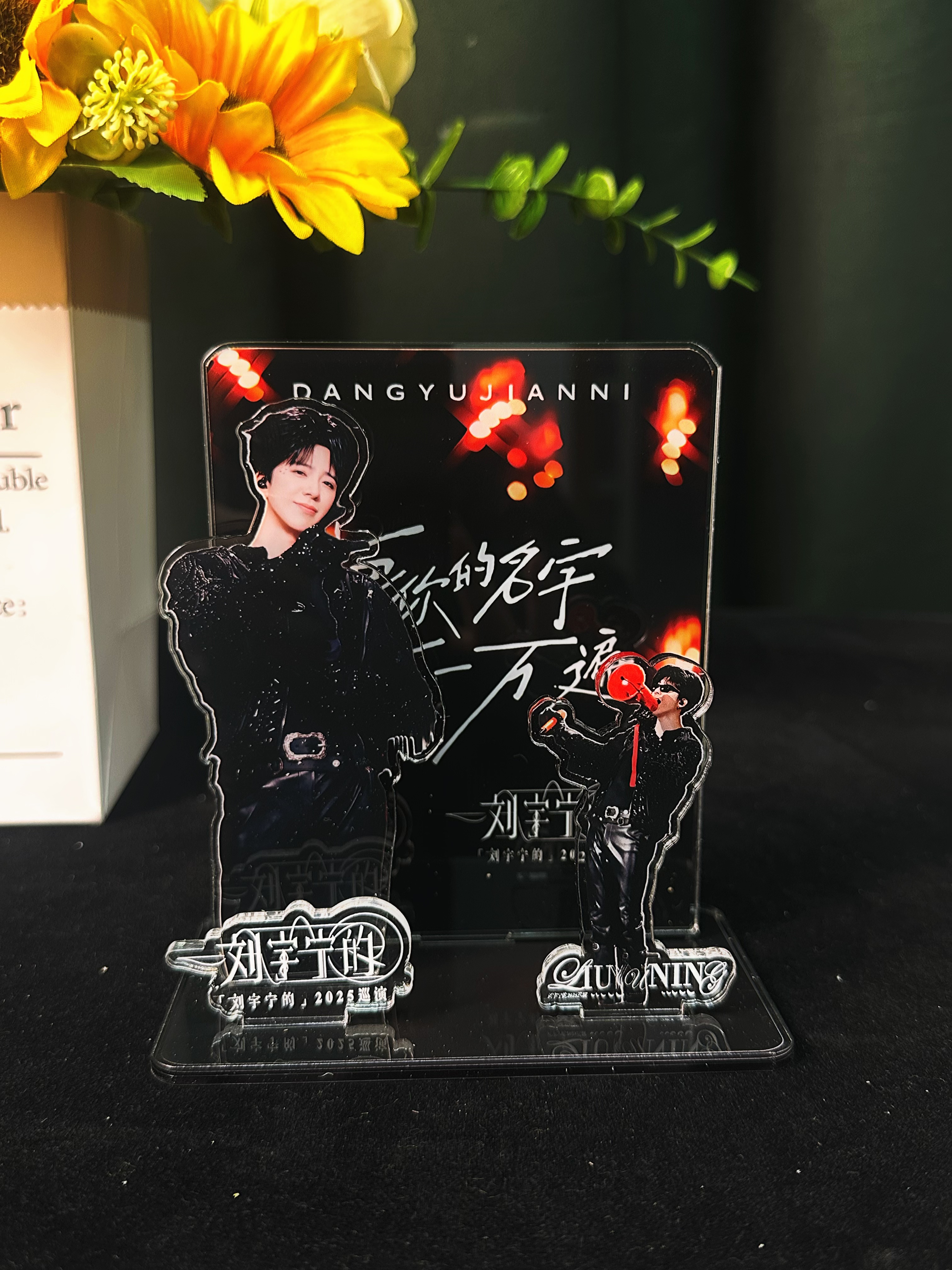刘宇宁原创组合双面亚克力夹层组合摆件立牌高档电视柜工艺品创意