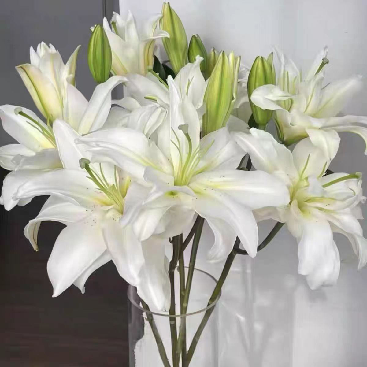 【两单顺丰一单中通】白雪公主重瓣香水百合鲜花鲜花直播间