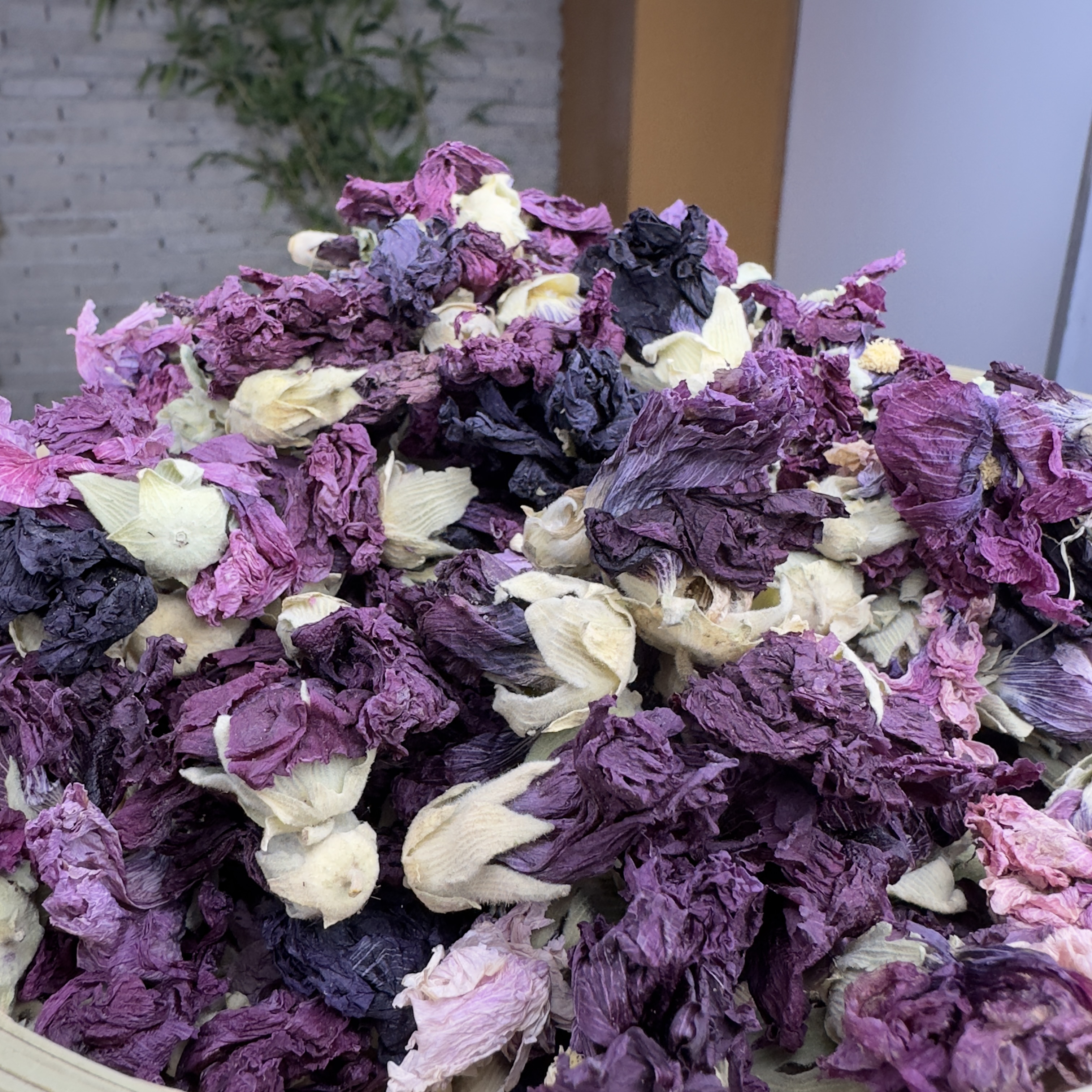 1【天-山-紫-莲】净含量50g-200g【阿云现收】