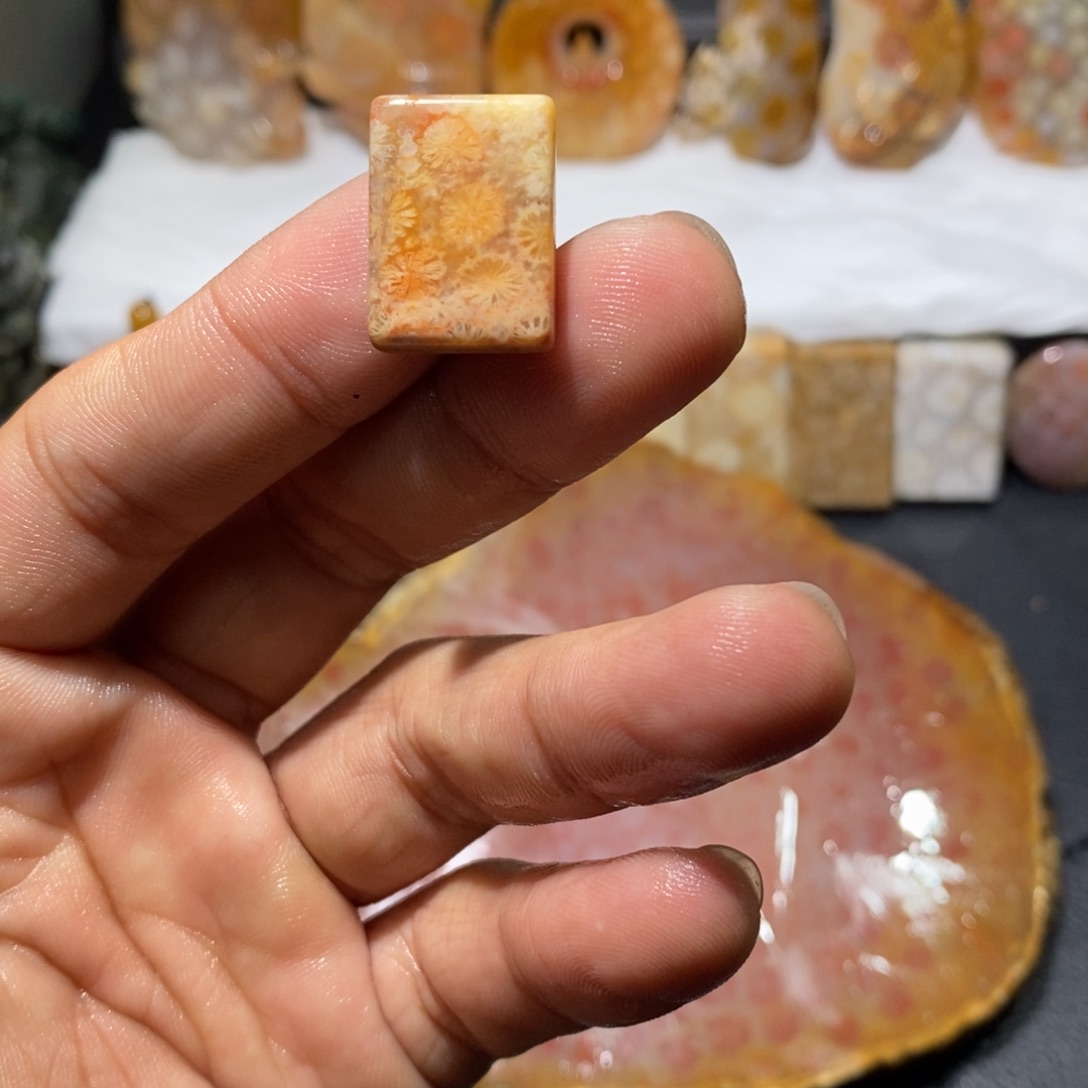 【闪购商品】硅化玉颈饰未镶嵌