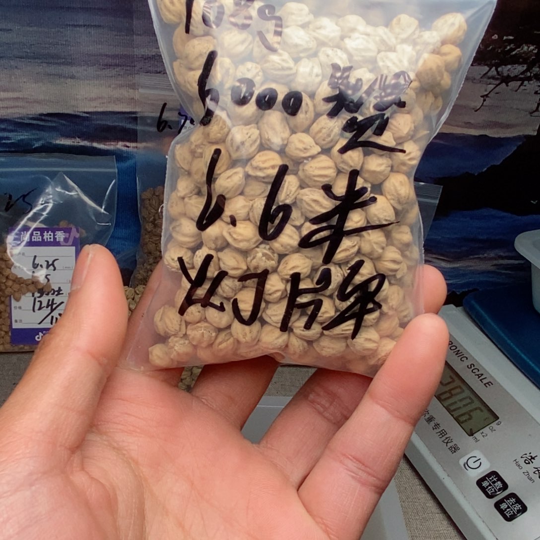 柏香籽/百香籽吊坠吾*生