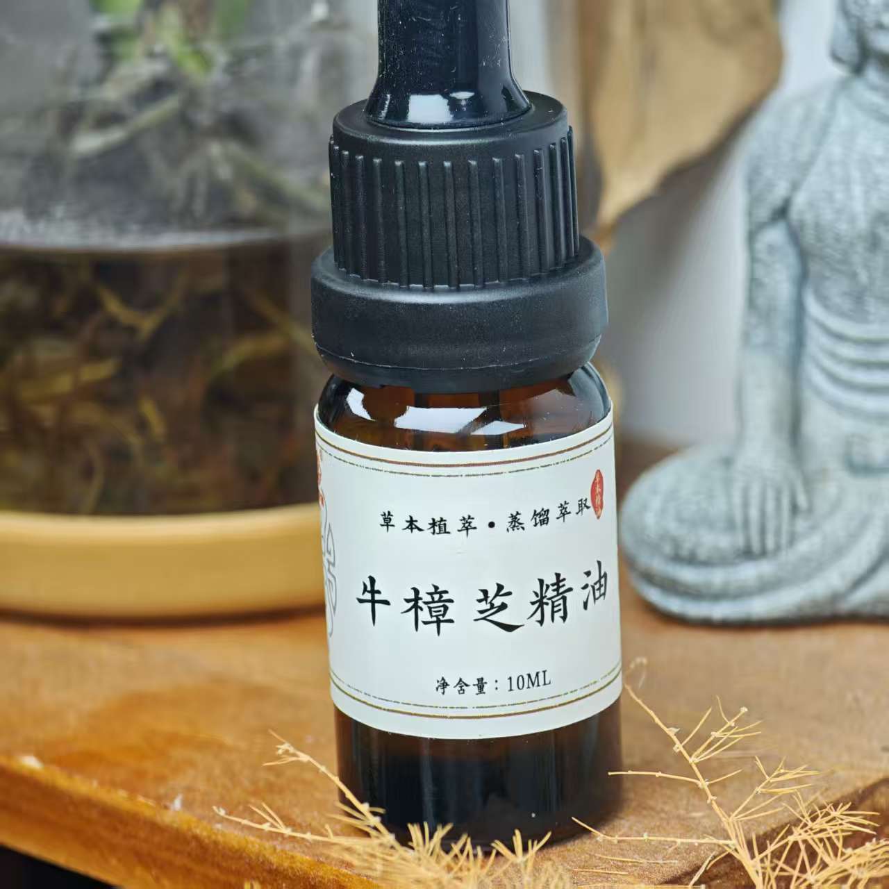 牛樟芝精油10ml一瓶