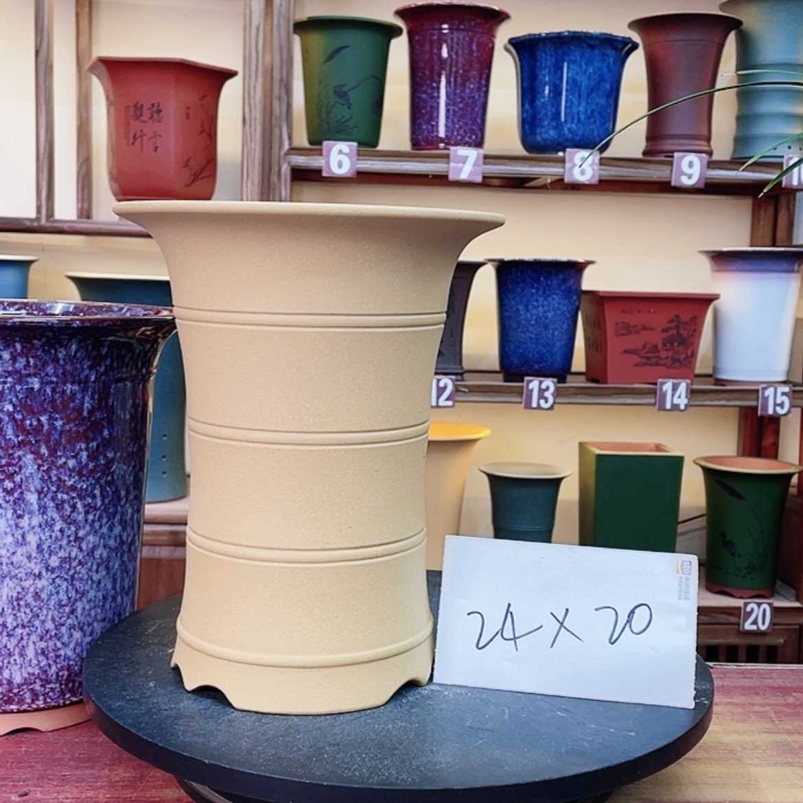 【闪购商品】紫砂花盆兰花555584555855666