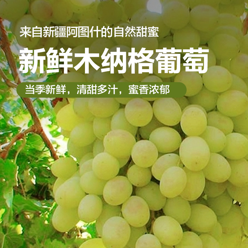 【顺丰冷链次日达】正宗新疆阿图什木纳格葡萄冰川翡翠葡萄甜地球 多仓发货新疆维吾尔自治区