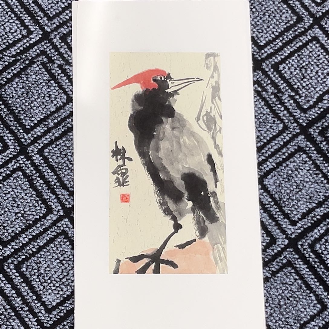 国画吴林菲老师33/17花鸟冯