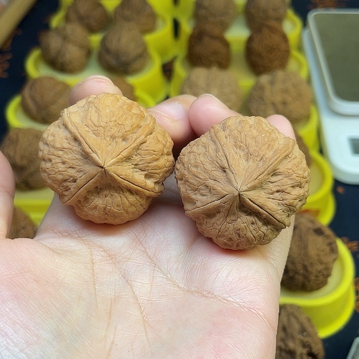 文玩核桃把件49、豆腐块38