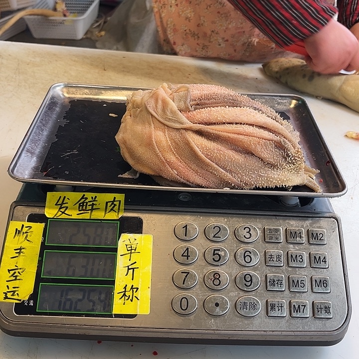 我***杨18中国大陆散装许褚b那你就