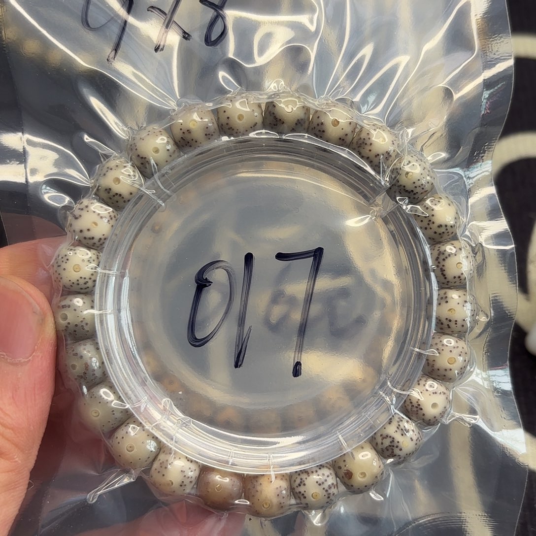 手串星月菩提糯冰017