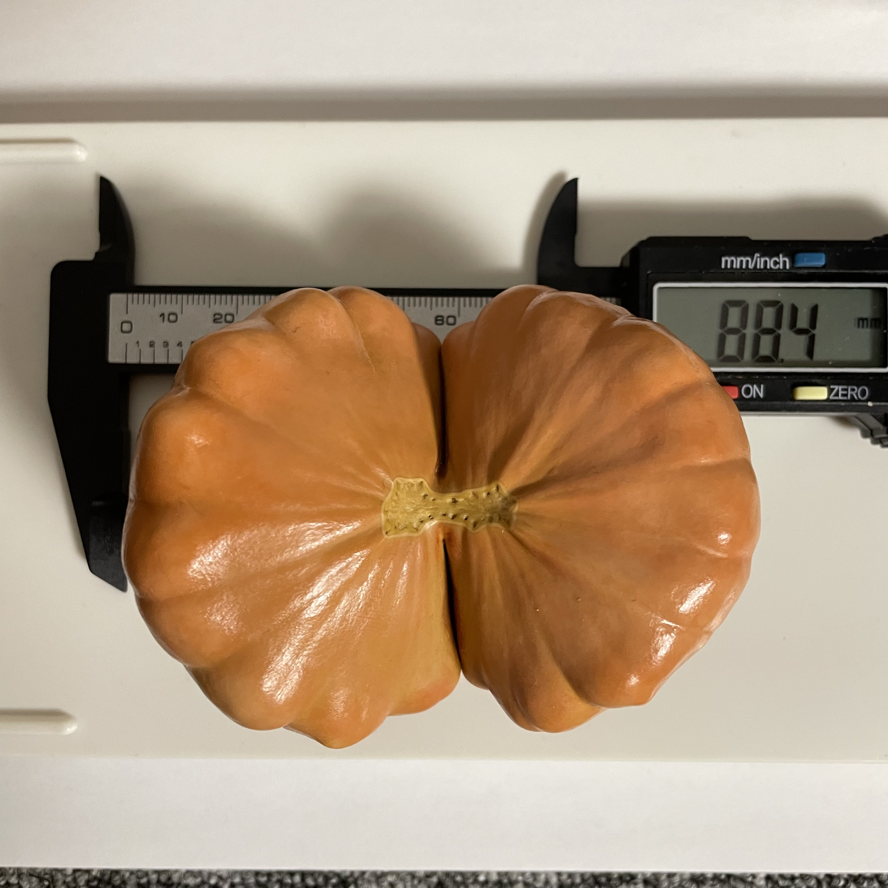 精品反色墨西哥双胞胎葫芦，大厚皮，尺寸看图