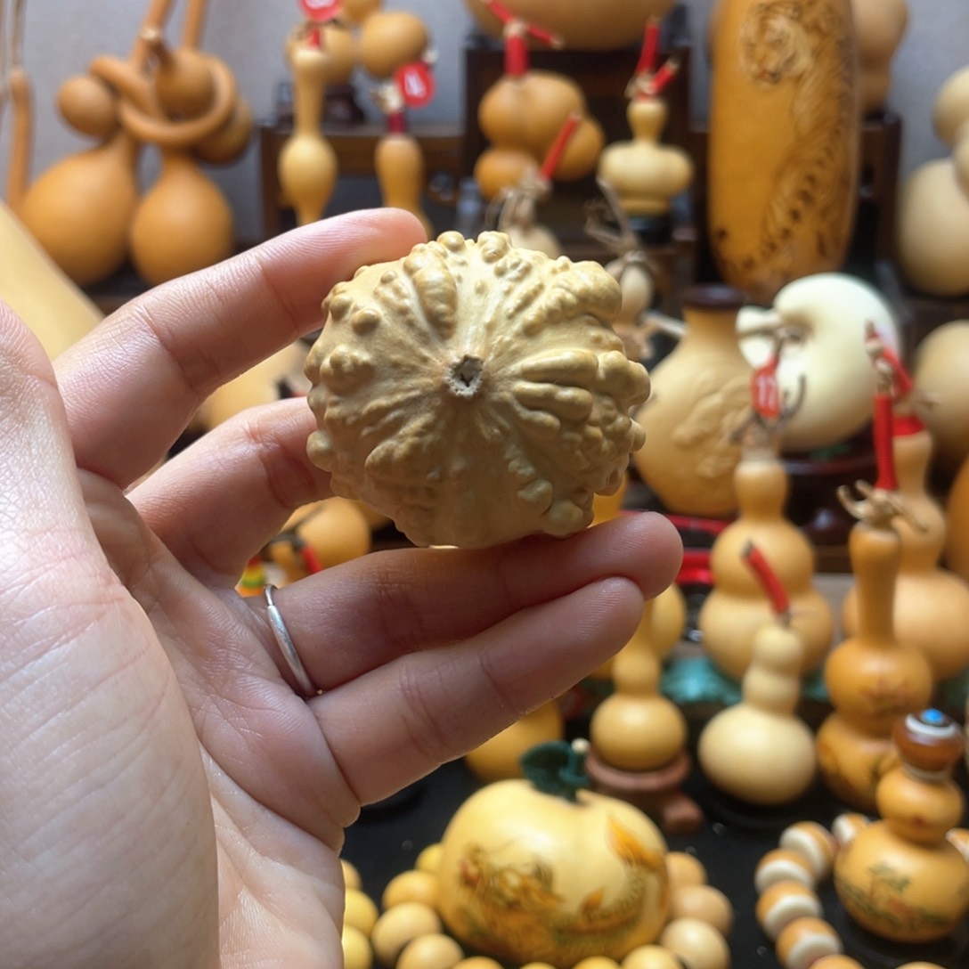 十**九大自然的秘密第十一节你是