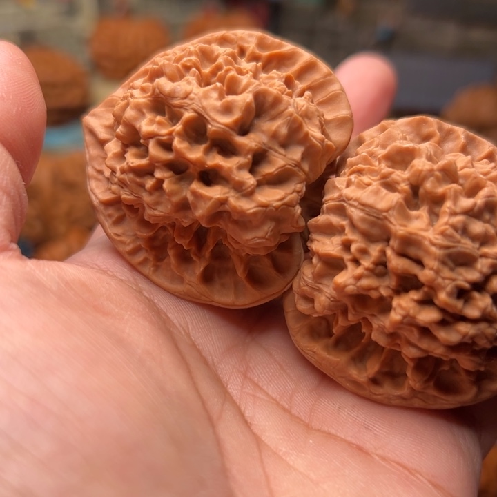 ****李核桃48官帽官帽官帽官帽