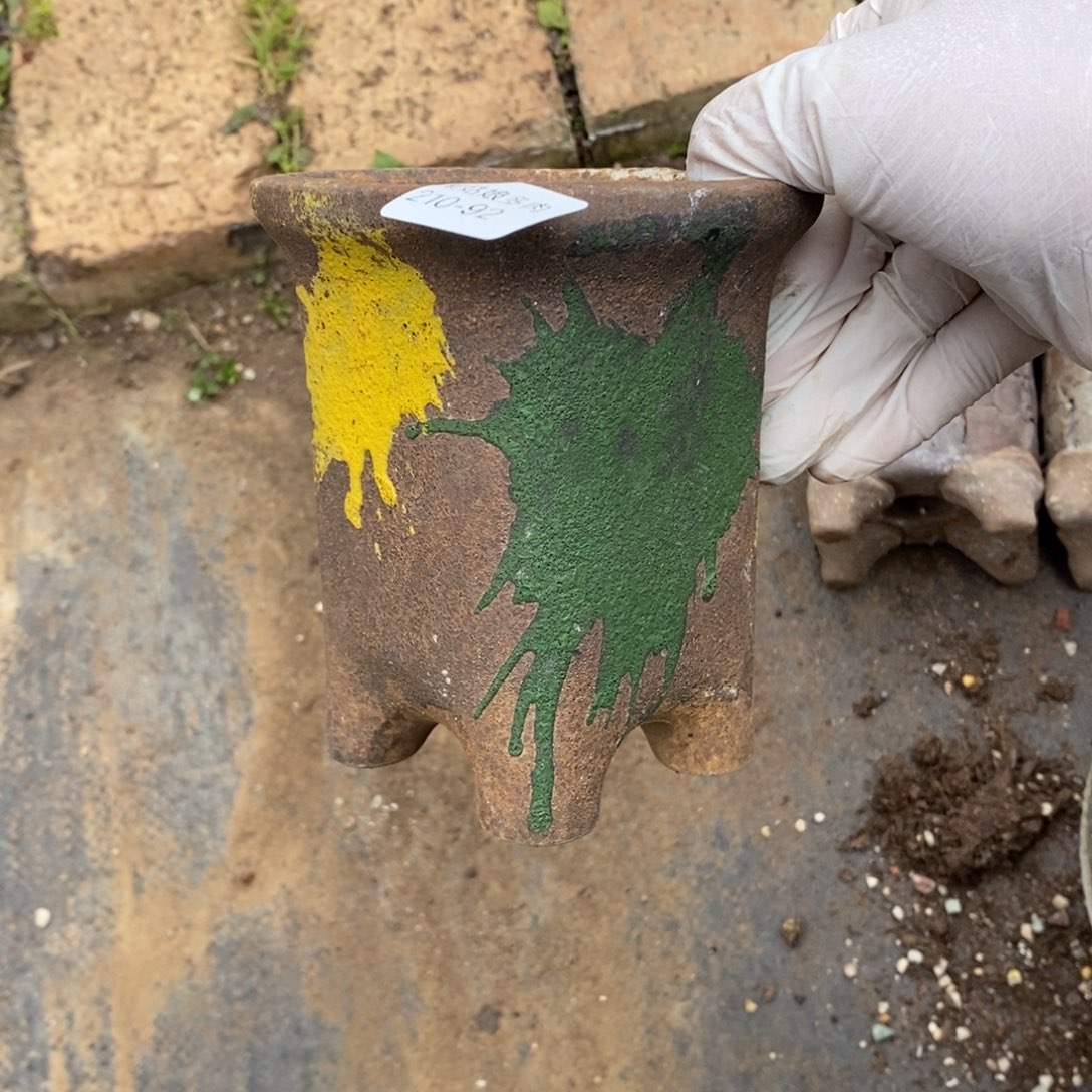 ?***?92号多肉盆一个呀