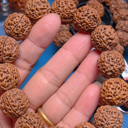 金刚菩提手串?**鬼V011/20/5