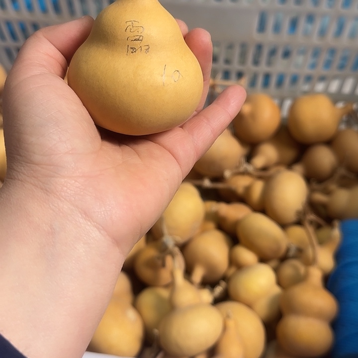 靁***~雷雷雷雷葫芦葫芦