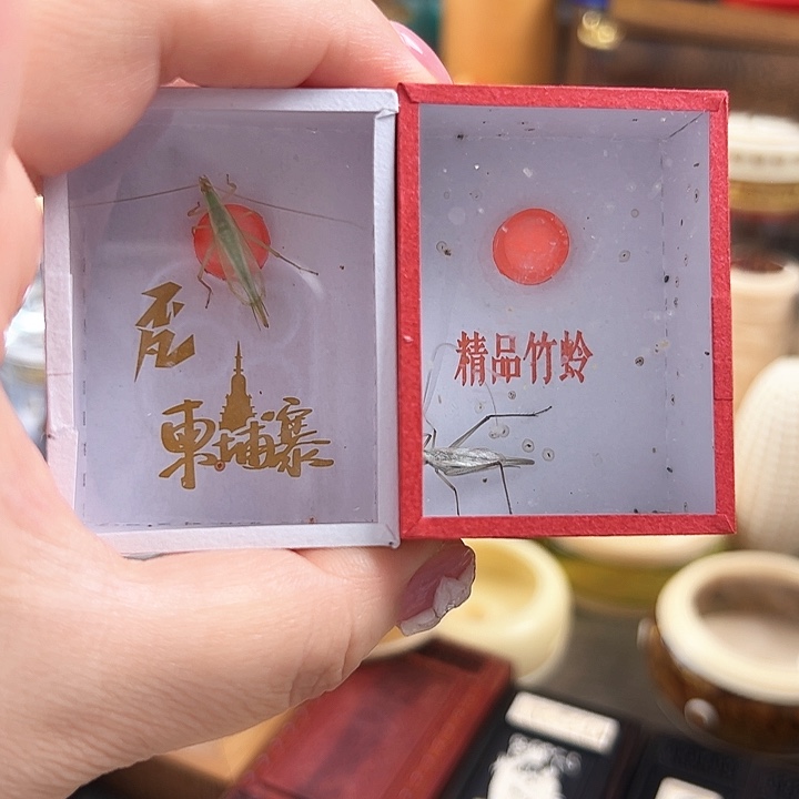 哈哈哈柬埔寨紫竹各一个