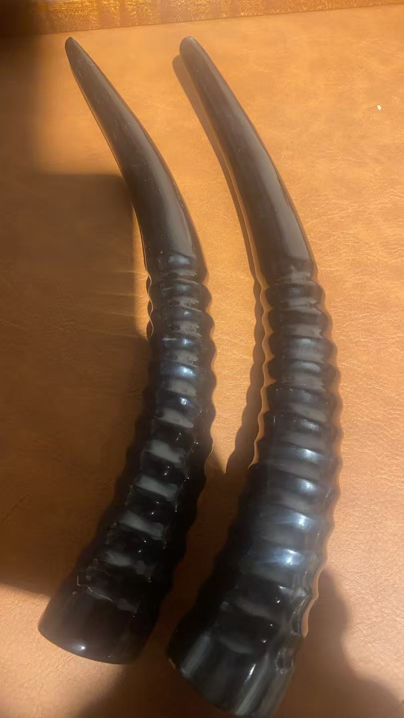 耗牛角摆件工艺品