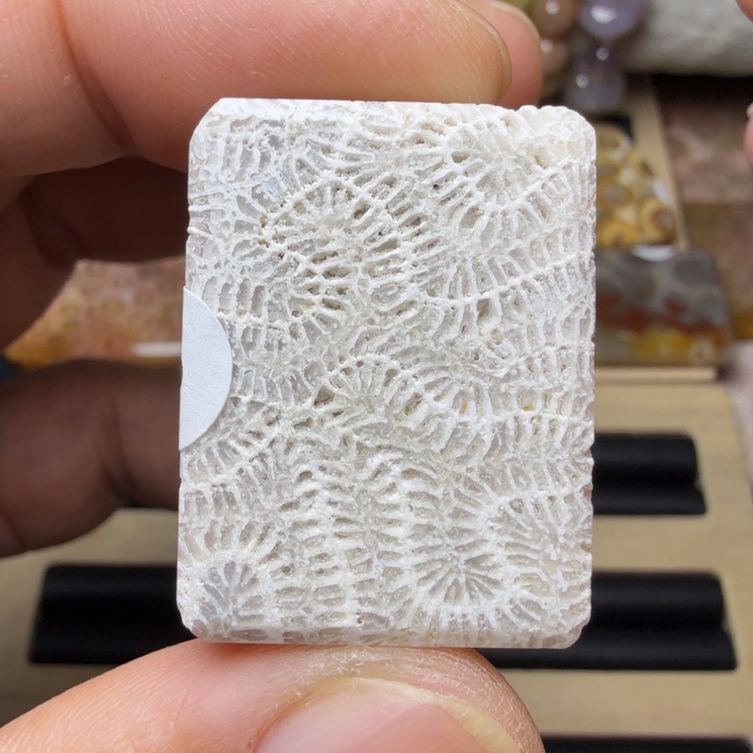 硅化玉未镶嵌纯天然色有机玉石保真色