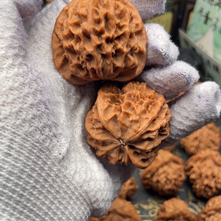 命***)核桃43尺秦岭野生红皮官帽