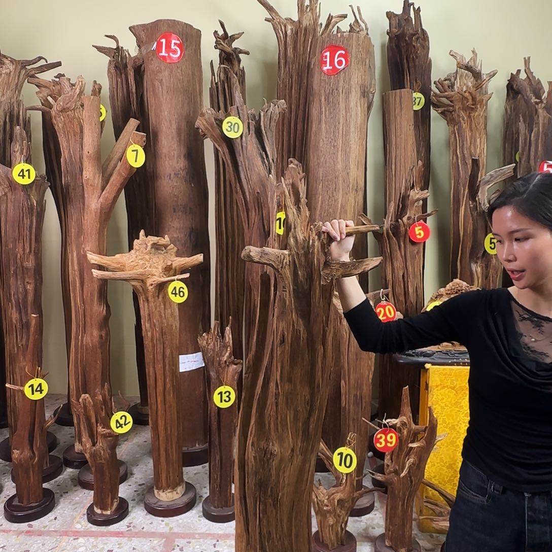 沉香沉香碎屑大*怪天然沉香原材料香料熏料