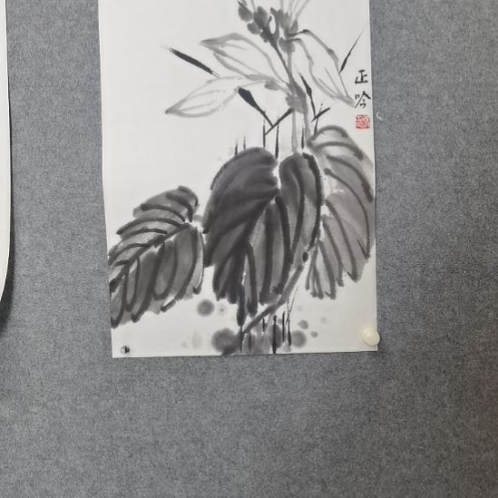 国画张张张张张张张张`