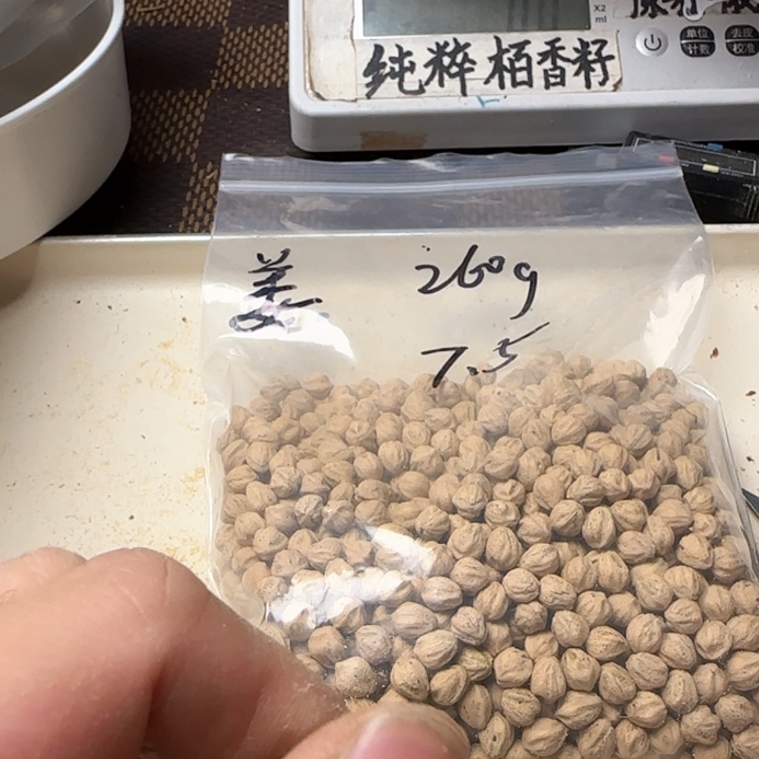 姜***常吊坠柏香籽/百香籽