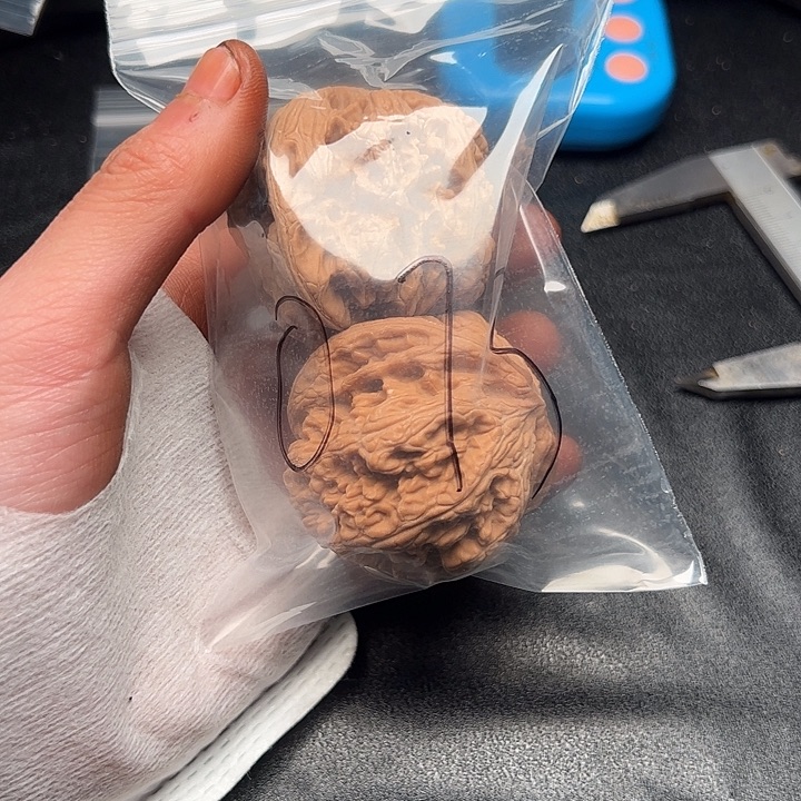 5555555552555555555555