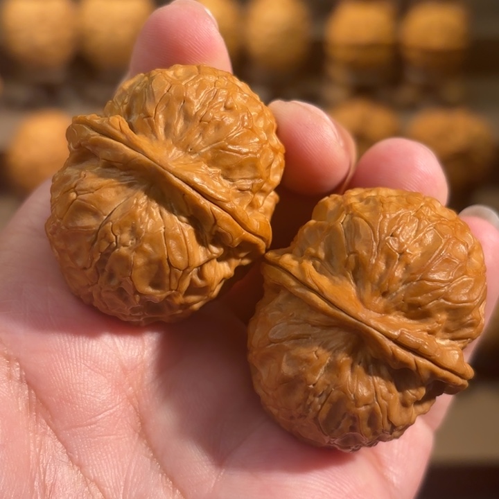 文玩核桃把件寻龙