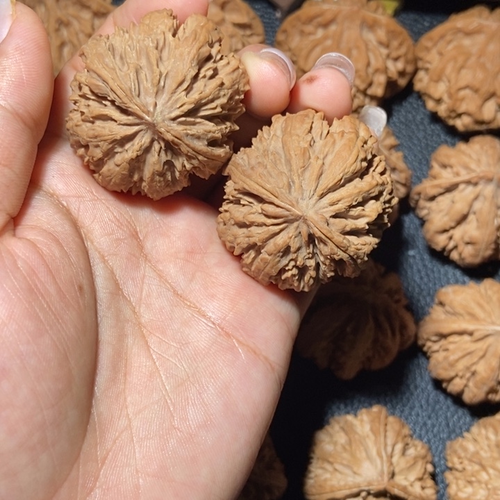 文玩核桃吊坠秦岭野生文玩核桃