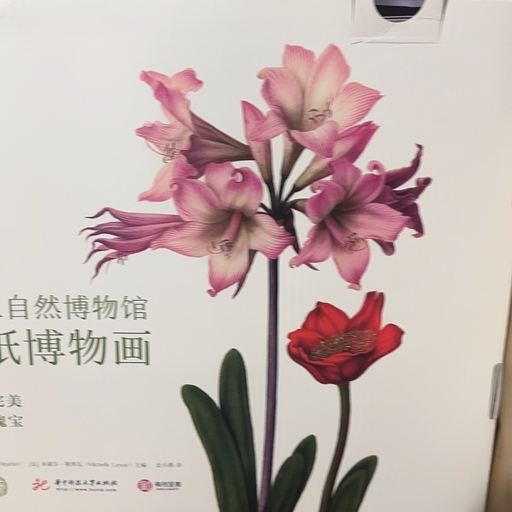 超大超厚自然博物馆