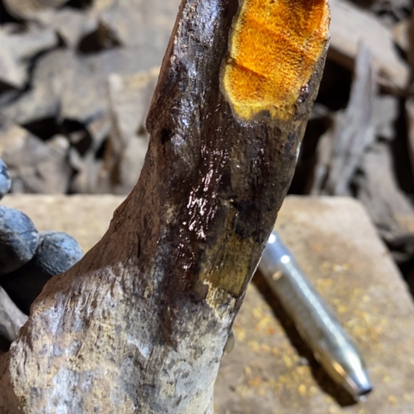 【闪购商品】把件贡木用****1私人订制