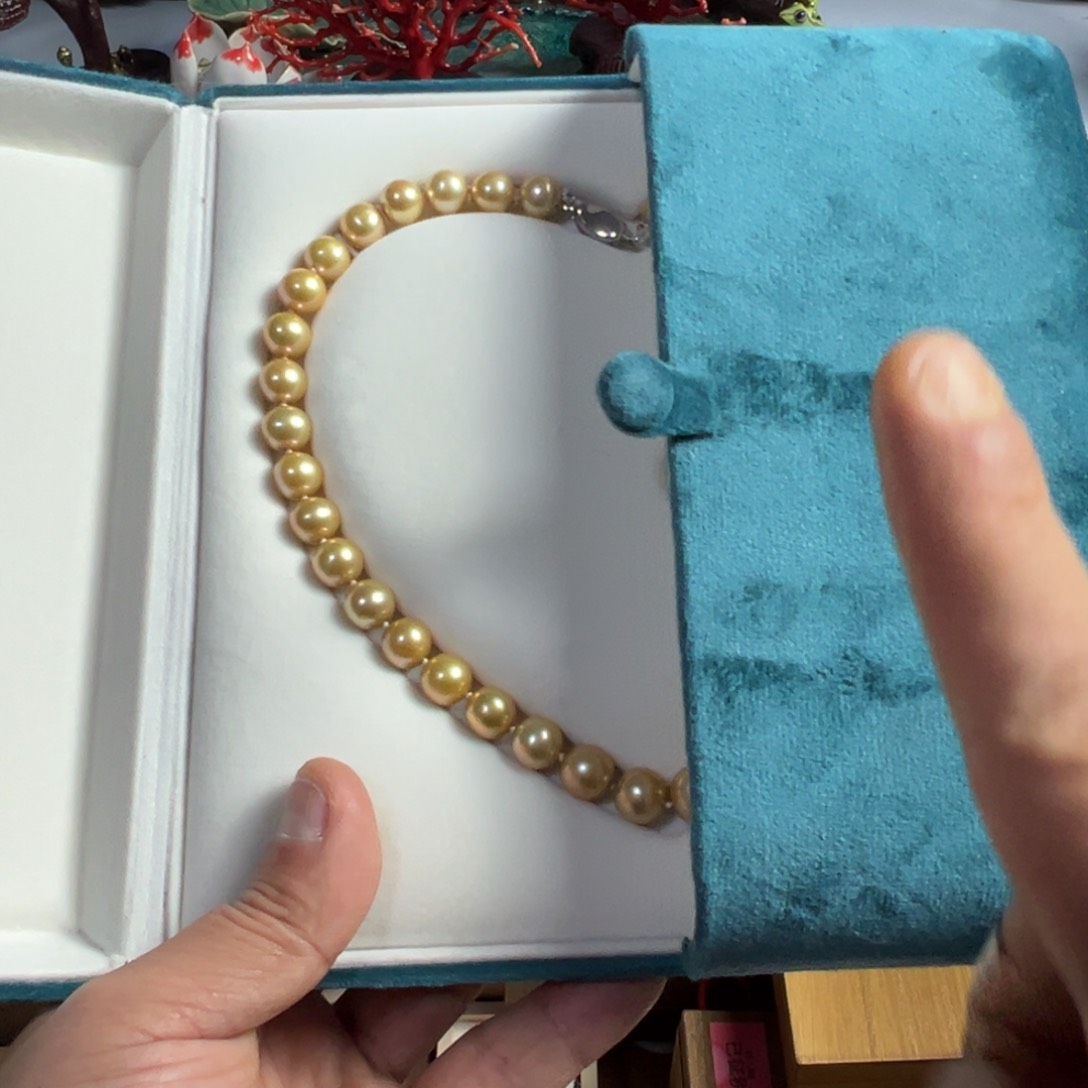 紫砂茶宠我家粉丝真好看啊