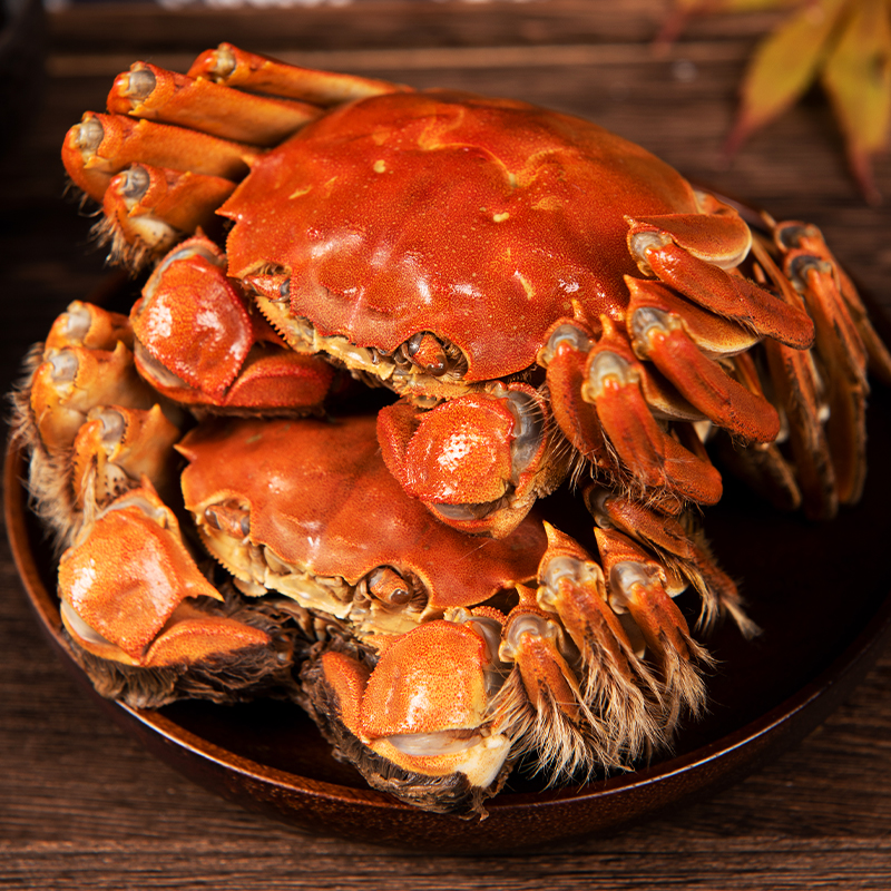 螃蟹1.3-1.6两 共2只 青蟹次日达顺丰包邮 AK2