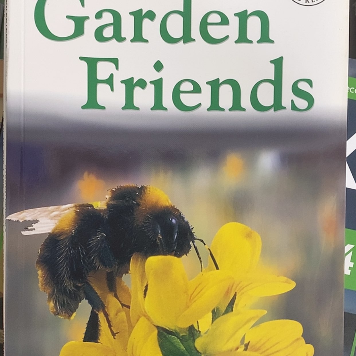 【闪购商品】原版dk1级别4本瑕疵