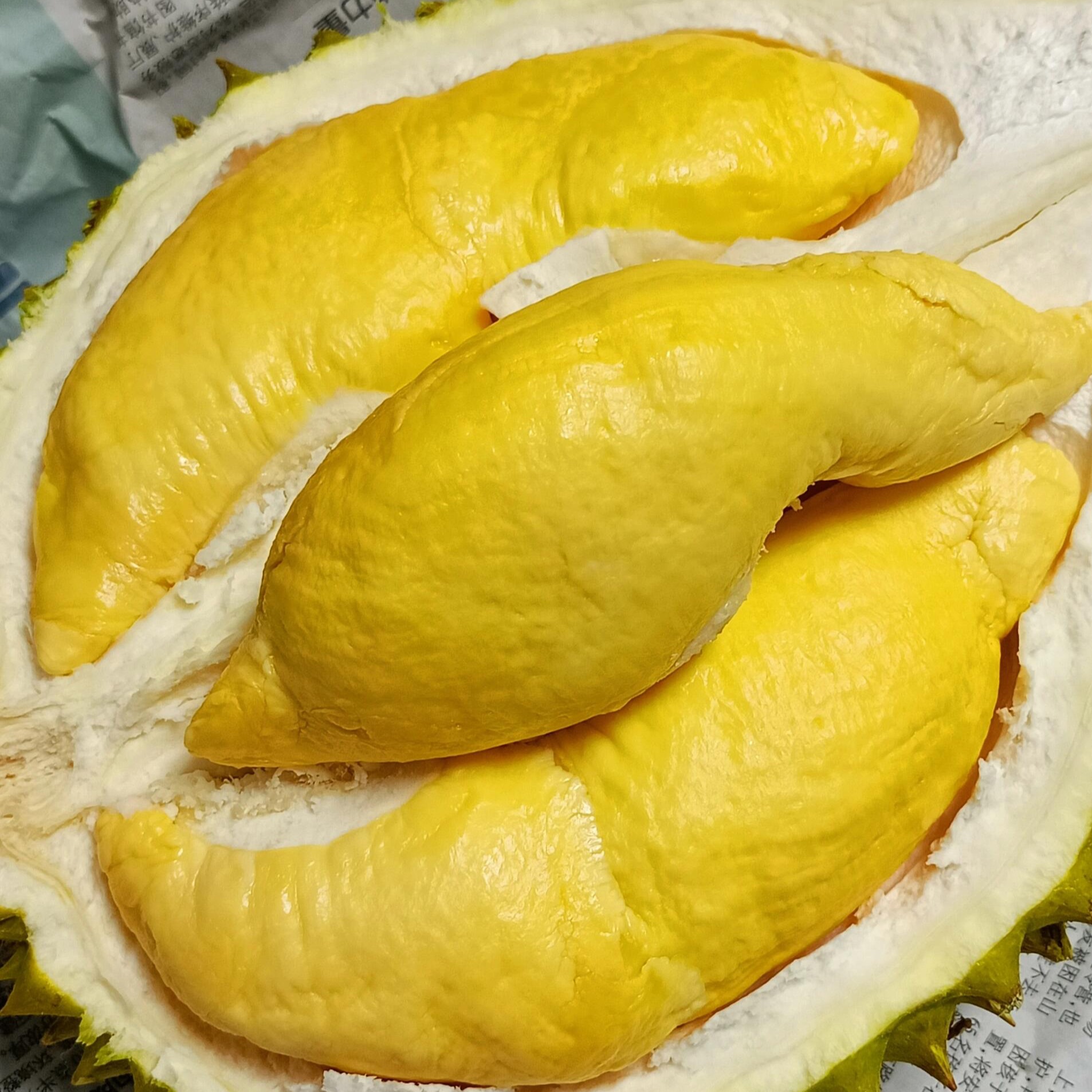 TT【1号】一物一拍干尧榴莲ri6路途10-15%水分重蒸发核较大请勿生切