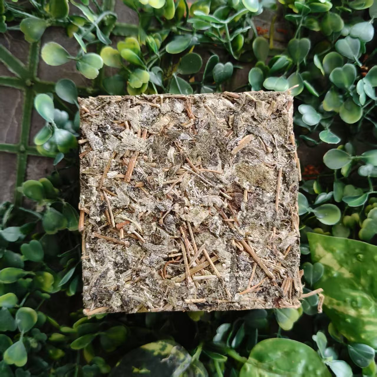 雨腾妹夫   X壹号”X 三J”200g/砖 (6月20）