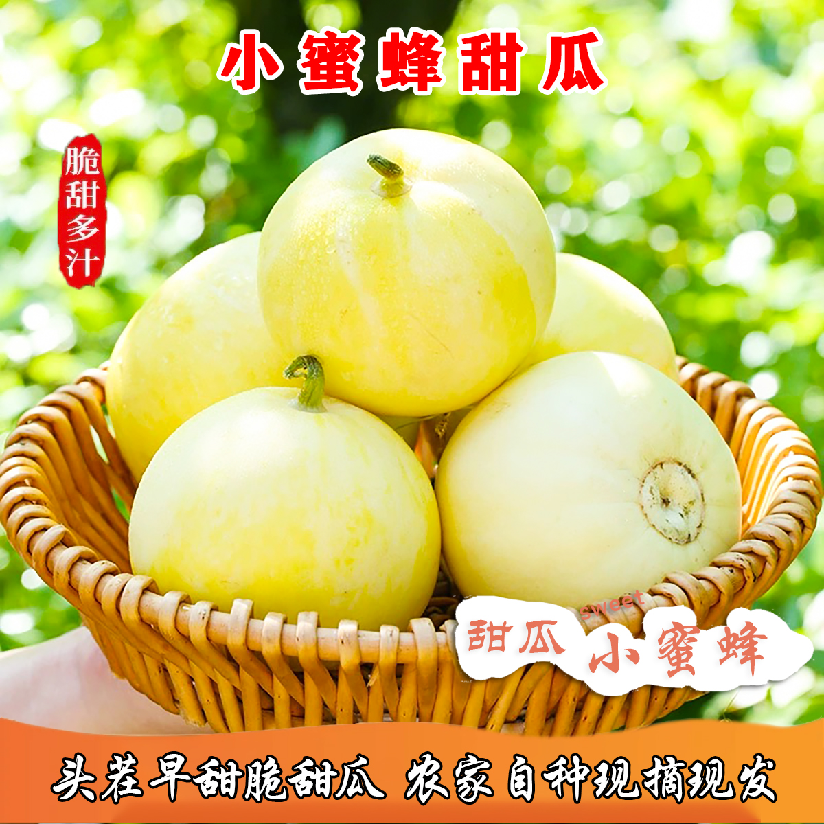【小蜜蜂香瓜】早甜脆蜜罐甜瓜脆甜多汁新鲜采摘现发