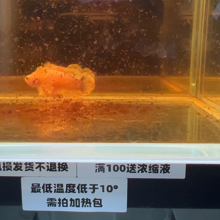 斗鱼跑单拉黑17日a47